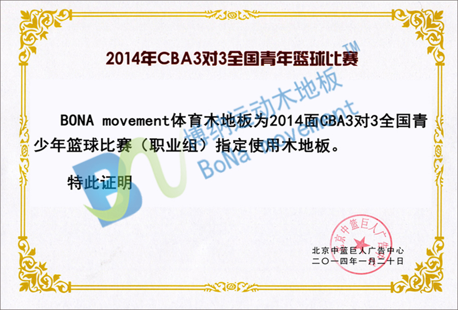 2014年CBA3对3全国青年篮球比赛